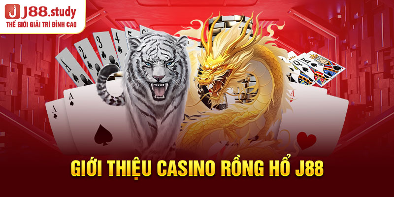 gioi-thieu-casino-rong-ho-j88